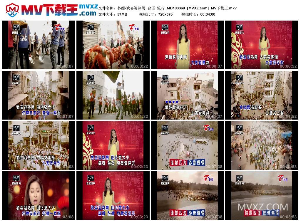 林姗-欢喜迎热闹_台语_流行_MD103369